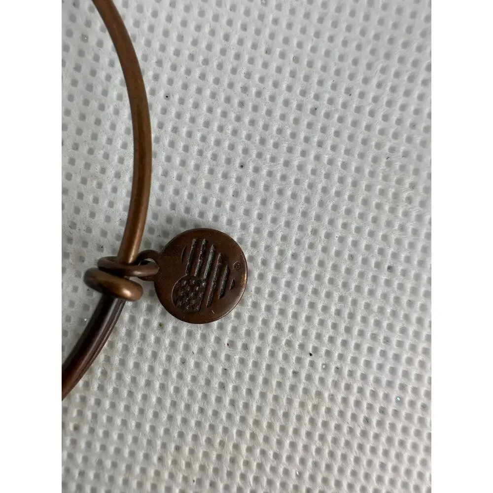 Alex and Ani great preowned